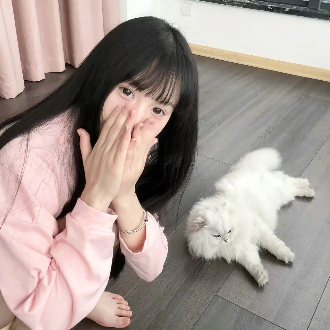 成龙历险记第二季